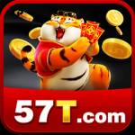 57t 57t Profile Picture