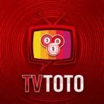 ****toto ****toto Profile Picture