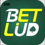 betlud betlud Profile Picture